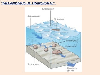 “ MECANISMOS DE TRANSPORTE”  