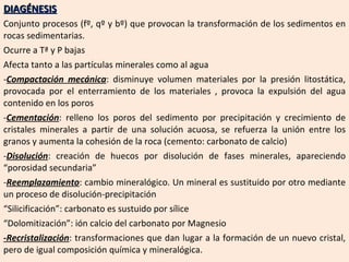 DIAGÉNESIS Conjunto procesos (fº, qº y bº) que provocan la transformación de los sedimentos en rocas sedimentarias.  Ocurre a Tª y P bajas Afecta tanto a las partículas minerales como al agua Compactación mecánica : disminuye volumen materiales por la presión litostática, provocada por el enterramiento de los materiales , provoca la expulsión del agua contenido en los poros Cementación : relleno los poros del sedimento por precipitación y crecimiento de cristales minerales a partir de una solución acuosa, se refuerza la unión entre los granos y aumenta la cohesión de la roca (cemento: carbonato de calcio) Disolución : creación de huecos por disolución de fases minerales, apareciendo “porosidad secundaria” Reemplazamiento : cambio mineralógico. Un mineral es sustituido por otro mediante un proceso de disolución-precipitación  “ Silicificación”: carbonato es sustuido por sílice “ Dolomitización”: ión calcio del carbonato por Magnesio -Recristalización : transformaciones que dan lugar a la formación de un nuevo cristal, pero de igual composición química y mineralógica. 