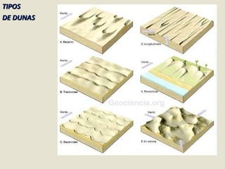TIPOS  DE DUNAS 