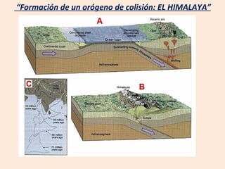 “ Formación de un orógeno de colisión: EL HIMALAYA” 
