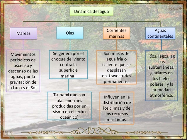Dinámica de las aguas oceánicas 6°