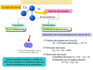 ESTRUCTURA Y FUNCIÓN DE LA ATMÓSFERA

La capa de ozono
                                      es
                                                 Gas de olor picante

                                        Se encuentra en


          Troposfera                       Estratosfera
    Es un contaminante                     Constituye la capa de ozono

                                           Mecanismo de formación/destrucción natural del O3

                                            1º Fotólisis del oxígeno por la luz UV
                                                       O2 + UV (rayos ultravioleta) → O + O

                                           2º Formación del ozono
                                                    O2 + O → O3 + calor

                                             3º Destrucción del ozono
                                                       a) Fotólisis del ozono O3 + UV → O2 + O
    Está en equilibrio dinámico y retiene un           b) Reacción con el oxígeno atómico
  90% de la radiación UV liberando calor que                      O + O3 → O2 + O2
    eleva la temperatura de la estratosfera
 
