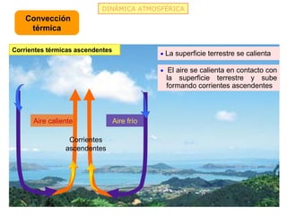 DINÁMICA ATMOSFÉRICA
    Convección
     térmica

Corrientes térmicas ascendentes
                                              • La superficie terrestre se calienta

                                              • El aire se calienta en contacto con
                                               la superficie terrestre y sube
                                               formando corrientes ascendentes



      Aire caliente               Aire frío

                 Corrientes
                ascendentes
 