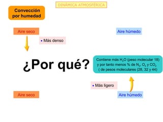 DINÁMICA ATMOSFÉRICA
 Convección
por humedad


  Aire seco                                        Aire húmedo

              • Más denso




    ¿Por qué?
                                      Contiene más H2O (peso molecular 18)
                                      y por tanto menos % de N2, O2 y CO2
                                       ( de pesos moleculares (28, 32 y 44)



                                    • Más ligero

  Aire seco                                        Aire húmedo
 