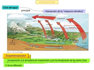 INTRODUCCIÓN

Ciclo del agua
                     principal                Interacción de la “máquina climática”




  Evapotranspiración
Evaporaciónsuperficial
Precipitaciónsubterránea
Condensación en el suelo
Agua retenida
 Escorrentía
Escorrentía
    Incorporación a la atmósfera por evaporación y por la transpiración de los seres vivos
 Paso del la tierra en forma hacia cotas bajas,del suelo ydel clima endea las aguas freáticas
 Vuelta que atraviesahidrosfera a la atmósferalibre o encauzada y ríos seres vivos
 Formación de lasdel agualas características del suelo, se incorpora los
 Desplazamiento la las capas permeables
  La cantidad depende de líquida o sólida
  Agua a agua de nubes
  Y de la infiltración
 