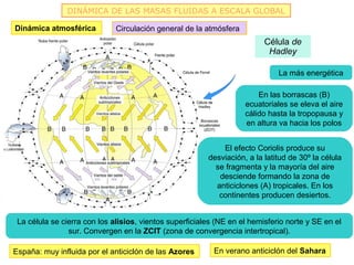 DINÁMICA DE LAS MASAS FLUIDAS A ESCALA GLOBAL

Dinámica atmosférica          Circulación general de la atmósfera
                                                                          Célula de
                                                                           Hadley

                                                                              La más energética

                                                                        En las borrascas (B)
                                                                    ecuatoriales se eleva el aire
                                                                    cálido hasta la tropopausa y
                                                                    en altura va hacia los polos


                                                             El efecto Coriolis produce su
                                                         desviación, a la latitud de 30º la célula
                                                           se fragmenta y la mayoría del aire
                                                            desciende formando la zona de
                                                           anticiclones (A) tropicales. En los
                                                            continentes producen desiertos.


 La célula se cierra con los alisios, vientos superficiales (NE en el hemisferio norte y SE en el
                sur. Convergen en la ZCIT (zona de convergencia intertropical).

España: muy influida por el anticiclón de las Azores       En verano anticiclón del Sahara
 