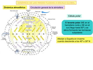DINÁMICA DE LAS MASAS FLUIDAS A ESCALA GLOBAL

Dinámica atmosférica   Circulación general de la atmósfera



                                                                 Célula polar

                                                               El levante polar (NE en el
                                                              hemisferio norte y SE en el
                                                                sur) llega hasta 60º y se
                                                             eleva formando las borrascas
                                                                        subpolares


                                                    Afectan a España en invierno
                                                    cuando desciende a los 40º o 30º N
 
