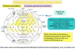 DINÁMICA DE LAS MASAS FLUIDAS A ESCALA GLOBAL

   Dinámica atmosférica        Circulación general de la atmósfera


                                                                        Célula de
                                                                         Ferrel


                                                               Situada en medio se forma por la
                                                                     acción de los cientos
                                                                   superficiales del oeste o
                                                               westerlies (SO en el hemisferio
                                                                     norte y NO en el sur)


                                                         Estos cinturones de borrascas y
                                                         anticiclones durante el verano (HN)
                                                         se desplazan hacia el norte y en
                                                         invierno (HN) hacia el sur



http://www.mhhe.com/biosci/genbio/tlw3/eBridge/Chp29/animations/ch29/global_wind_circulation.swf
 
