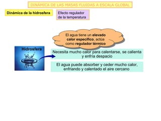 DINÁMICA DE LAS MASAS FLUIDAS A ESCALA GLOBAL

Dinámica de la hidrosfera     Efecto regulador
                              de la temperatura



                                   El agua tiene un elevado
                                    El agua tiene un elevado
                                    calor específico, actúa
                                     calor específico, actúa
                                   como regulador térmico
                                    como regulador térmico
        Hidrosfera
                            Necesita mucho calor para calentarse, se calienta
                                          y enfría despacio

                              El agua puede absorber y ceder mucho calor,
                                  enfriando y calentado el aire cercano
 