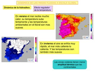 DINÁMICA DE LAS MASAS FLUIDAS A ESCALA GLOBAL

Dinámica de la hidrosfera   Efecto regulador
                            de la temperatura

           En verano el mar recibe mucho
           calor, su temperatura sube
           lentamente y las temperaturas
           ambientales en el litoral son mas
           suaves




                                  En invierno el aire se enfría muy
                                  rápido, el mar más caliente lo
                                  calienta. Y las temperaturas son
                                  también más suaves



                                                Las zonas costeras tienen menor
                                                   amplitud térmica que las
                                                         continentales
 