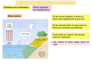 DINÁMICA DE LAS MASAS FLUIDAS A ESCALA GLOBAL

Dinámica de la hidrosfera   Efecto regulador
                            de la temperatura


    Brisa marina                                 En las zonas costeras, la tierra se
                                                 enfría más rápidamente que el mar


                                                 El aire situado sobre el agua sube en
                                                 forma de corrientes ascendentes


                                                 Al ascender se “aspira” aire situado
                                                 sobre el continente

                                                • De noche la brisa sopla hacia el
                                                 mar
 