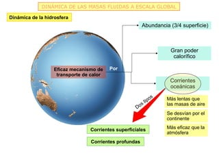 DINÁMICA DE LAS MASAS FLUIDAS A ESCALA GLOBAL

Dinámica de la hidrosfera
                                                        Abundancia (3/4 superficie)



                                                                   Gran poder
                                                                    calorífico

                  Eficaz mecanismo de    Por
                   transporte de calor
                                                                   Corrientes
                                                                   oceánicas

                                                           os     Más lentas que
                                                      s tip
                                                                  las masas de aire
                                                    Do
                                                                  Se desvían por el
                                                                  continente

                                Corrientes superficiales          Más eficaz que la
                                                                  atmósfera
                                 Corrientes profundas
 