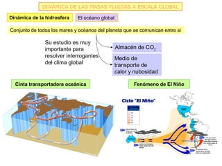 DINÁMICA DE LAS MASAS FLUIDAS A ESCALA GLOBAL

Dinámica de la hidrosfera    El océano global

Conjunto de todos los mares y océanos del planeta que se comunican entre si

               Su estudio es muy
               importante para                  Almacén de CO2
               resolver interrogantes           Medio de
               del clima global                 transporte de
                                                calor y nubosidad

  Cinta transportadora oceánica                        Fenómeno de El Niño
 