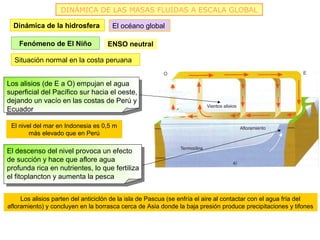 DINÁMICA DE LAS MASAS FLUIDAS A ESCALA GLOBAL

  Dinámica de la hidrosfera           El océano global

    Fenómeno de El Niño             ENSO neutral

  Situación normal en la costa peruana


Los alisios (de E a O) empujan el agua
superficial del Pacífico sur hacia el oeste,
dejando un vacío en las costas de Perú y
Ecuador

 El nivel del mar en Indonesia es 0,5 m
        más elevado que en Perú

El descenso del nivel provoca un efecto
de succión y hace que aflore agua
profunda rica en nutrientes, lo que fertiliza
el fitoplancton y aumenta la pesca


     Los alisios parten del anticiclón de la isla de Pascua (se enfría el aire al contactar con el agua fría del
afloramiento) y concluyen en la borrasca cerca de Asia donde la baja presión produce precipitaciones y tifones
 
