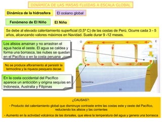 DINÁMICA DE LAS MASAS FLUIDAS A ESCALA GLOBAL

  Dinámica de la hidrosfera          El océano global

   Fenómeno de El Niño              El Niño

 Se debe al elevado calentamiento superficial (0,5º C) de las costas de Perú. Ocurre cada 3 - 5
 años, alcanzando valores máximos en Navidad. Suele durar 9 -12 meses.

Los alisios amainan y no arrastran el
agua hacia el oeste. El agua se caldea y
forma una borrasca, las nubes se quedan
en el Pacífico o en la costa peruana

No se produce afloramiento al persistir la
 termoclina y la riqueza pesquera decae

En la costa occidental del Pacífico
aparece un anticiclón y origina sequías en
Indonesia, Australia y Filipinas


                                               ¿CAUSAS?:
   - Producto del calentamiento global que disminuye contraste entre las costas este y oeste del Pacífico,
                                   reduciendo los alisios y las corrientes
- Aumento en la actividad volcánica de las dorsales, que eleva la temperatura del agua y genera una borrasca
 