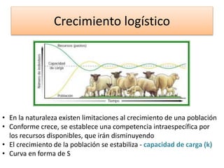 Crecimiento logístico
• En la naturaleza existen limitaciones al crecimiento de una población
• Conforme crece, se establece una competencia intraespecífica por
los recursos disponibles, que irán disminuyendo
• El crecimiento de la población se estabiliza - capacidad de carga (k)
• Curva en forma de S
 
