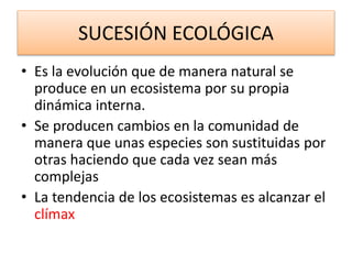 SUCESIÓN ECOLÓGICA
• Es la evolución que de manera natural se
produce en un ecosistema por su propia
dinámica interna.
• Se producen cambios en la comunidad de
manera que unas especies son sustituidas por
otras haciendo que cada vez sean más
complejas
• La tendencia de los ecosistemas es alcanzar el
clímax
 