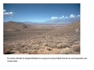 En zonas donde la disponibilidad es escasa la comunidad climax se corresponde con
matorrales
 