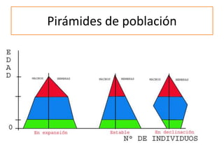 Pirámides de población
 