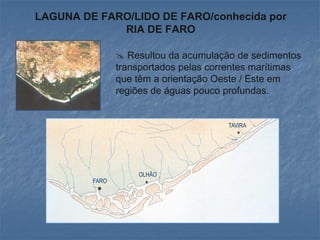 LAGUNA DE FARO/LIDO DE FARO/conhecida por
             RIA DE FARO

                 Resultou da acumulação de sedimentos
                transportados pelas correntes marítimas
                que têm a orientação Oeste / Este em
                regiões de águas pouco profundas.


                                       TAVIRA




                    OLHÃO
         FARO
 