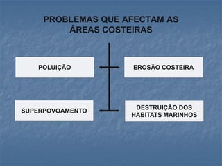 PROBLEMAS QUE AFECTAM AS
         ÁREAS COSTEIRAS



   POLUIÇÃO         EROSÃO COSTEIRA




                     DESTRUIÇÃO DOS
SUPERPOVOAMENTO
                    HABITATS MARINHOS
 