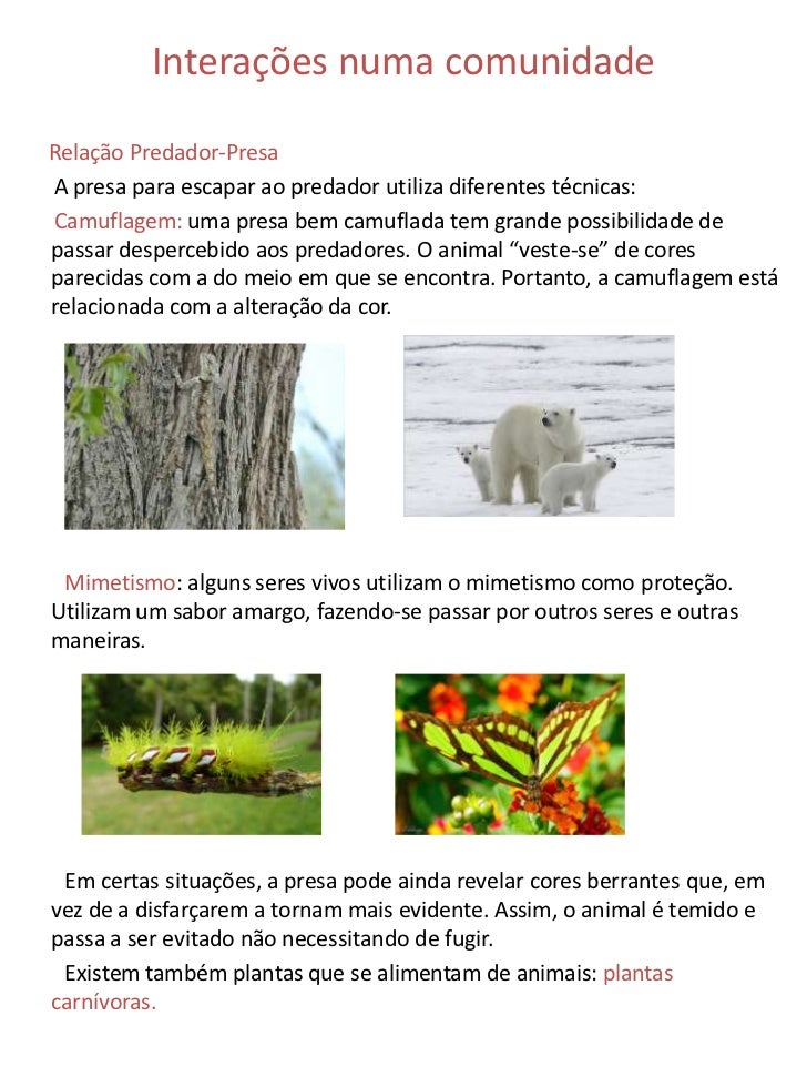 O Homem Pode Modificar Os Ecossistemas Como