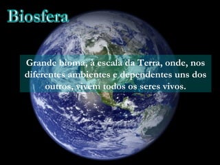 Grande bioma, à escala da Terra, onde, nos
diferentes ambientes e dependentes uns dos
     outros, vivem todos os seres vivos.
 