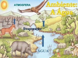 ATMOSFERA




    Evaporação




            ÁGUA
 