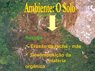 Resulta :
 Erosão da rocha - mãe
 Decomposição da
         matéria
orgânica
 