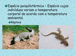 Espécie poiquilotérmica – Espécie cujos indivíduos variam a temperatura corporal de acordo com a temperatura ambiental.Répteis Espécie Ectotérmica – Espécie cujos indivíduos dependem de fonte de calor externa para manter a temperatura corporal.