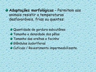 Adaptações morfológicas – Permitem aos animais resistir a temperaturas desfavoráveis, frias ou quentes:Quantidade de gordura subcutâneaTamanho e densidade dos pêlosTamanho das orelhas e focinhoGlândulas sudoríferasCutícula / Revestimento impermeabilizante.