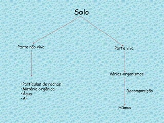 SoloParte não vivaParte vivaVários organismosPartículas de rochas