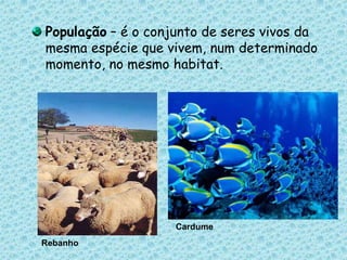 População – é o conjunto de seres vivos da mesma espécie que vivem, num determinado momento, no mesmo habitat. CardumeRebanho