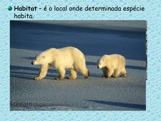 Habitat – é o local onde determinada espécie habita.