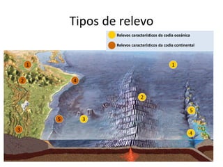 Tipos de relevo
1
3
3
2
4
5
1
2 4
5
Relevos característicos da codia oceánica
Relevos característicos da codia continental
 