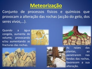 Meteorização
Conjunto de processos físicos e químicos que
provocam a alteração das rochas (acção do gelo, dos
seres vivos,…).
Quando a água
congela, aumenta de
volume, provocando
e/ou aumentando as
fracturas das rochas.
As raízes das
plantas, ao
penetrarem nas
fendas das rochas,
favorecem a sua
alteração.
 