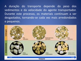 A duração do transporte depende do peso dos
sedimentos e da velocidade do agente transportador.
Durante este processo, os materiais continuam a ser
desgastados, tornando-se cada vez mais arredondados
e pequenos.
 