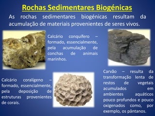 Rochas Sedimentares Biogénicas
As rochas sedimentares biogénicas resultam da
acumulação de materiais provenientes de seres vivos.
Calcário conquífero –
formado, essencialmente,
pela acumulação de
conchas de animais
marinhos.
Calcário coralígeno –
formado, essencialmente,
pela deposição de
estruturas provenientes
de corais.
Carvão – resulta da
transformação lenta de
restos de vegetais
acumulados em
ambientes aquáticos
pouco profundos e pouco
oxigenados como, por
exemplo, os pântanos.
 