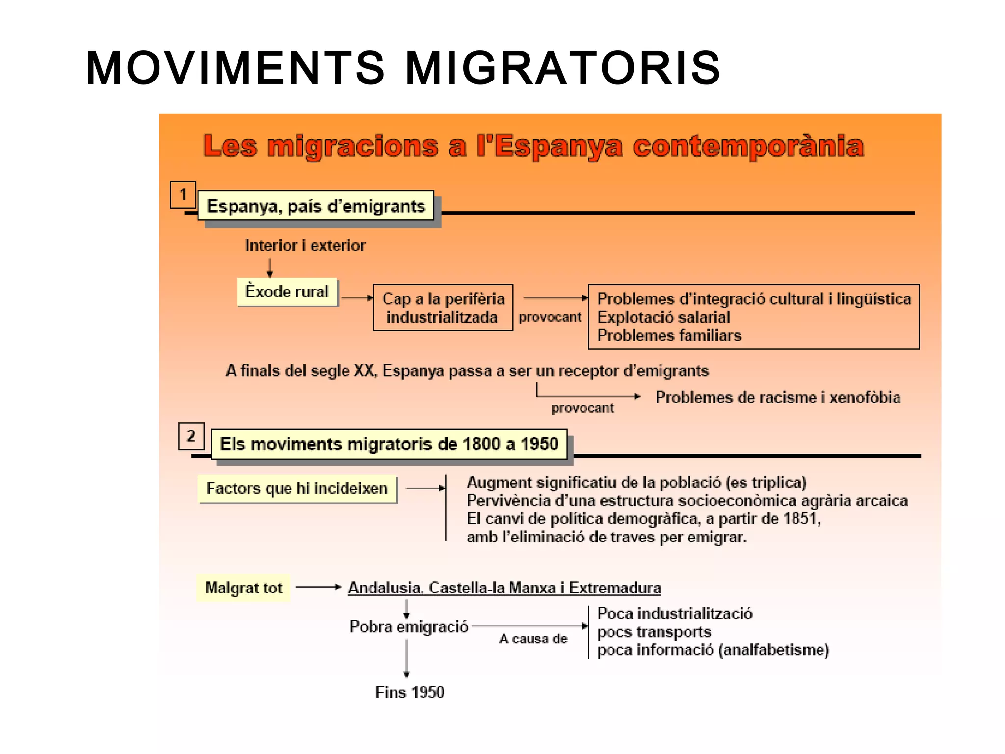 MOVIMENTS MIGRATORIS
 