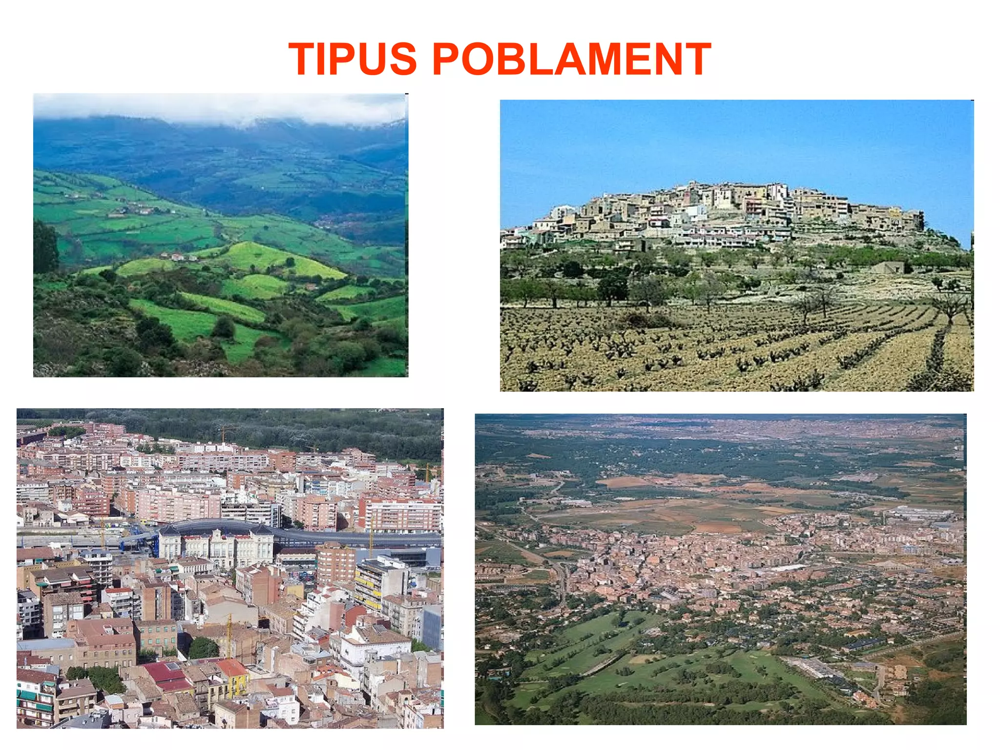 TIPUS POBLAMENT
 