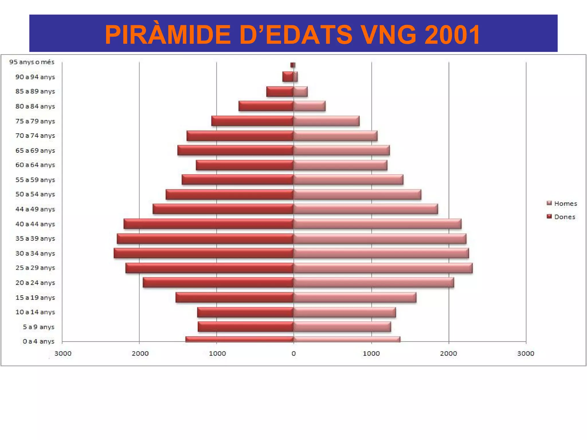 PIRÀMIDE D’EDATS VNG 2001
 