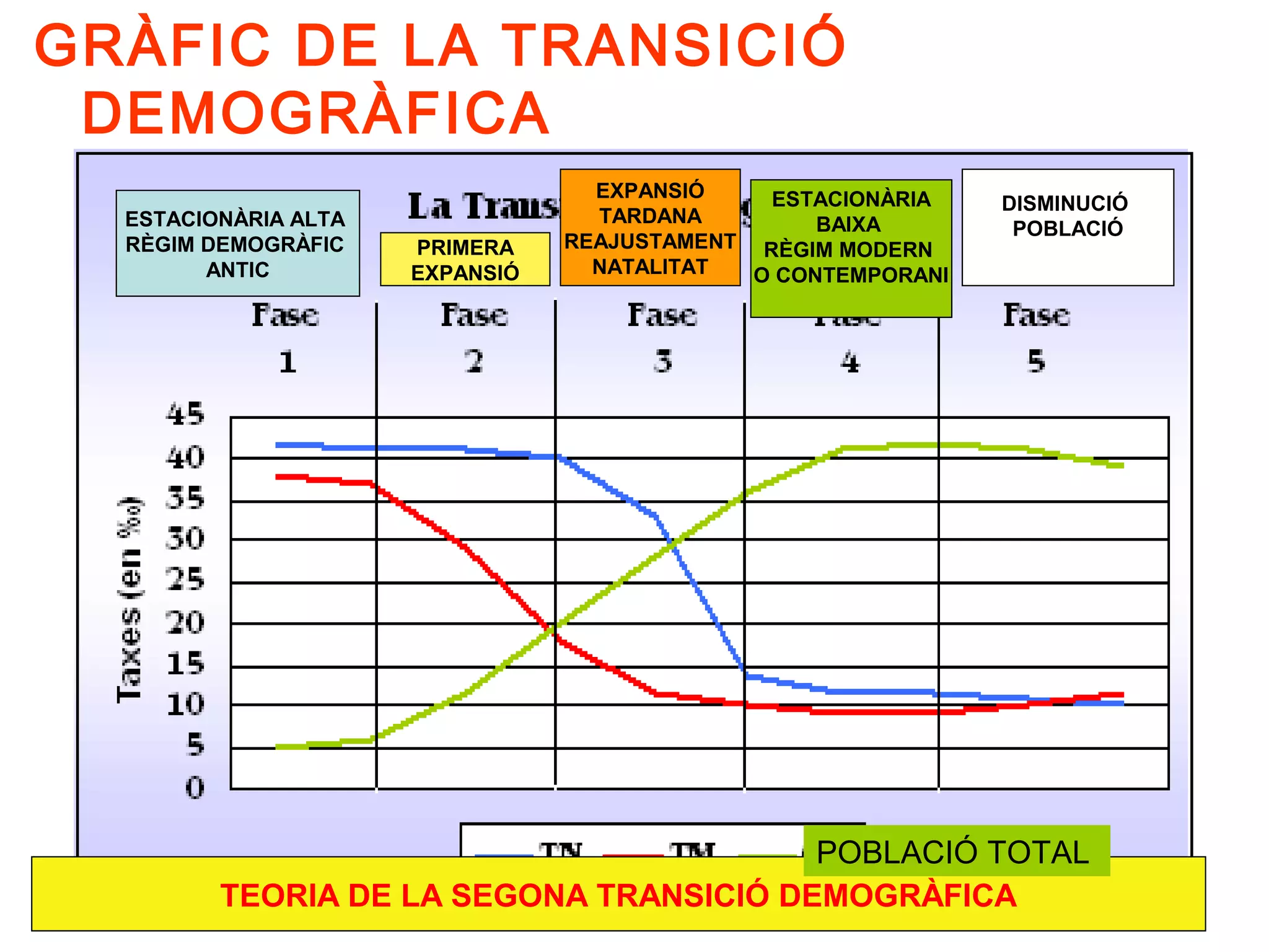GRÀFIC DE LA TRANSICIÓ
 DEMOGRÀFICA
                                   EXPANSIÓ    ESTACIONÀRIA    DISMINUCIÓ
  ESTACIONÀRIA ALTA                TARDANA         BAIXA        POBLACIÓ
  RÈGIM DEMOGRÀFIC    PRIMERA    REAJUSTAMENT RÈGIM MODERN
        ANTIC         EXPANSIÓ     NATALITAT  O CONTEMPORANI




                                         POBLACIÓ TOTAL
         TEORIA DE LA SEGONA TRANSICIÓ DEMOGRÀFICA
 