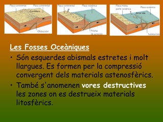 Les Fosses Oceàniques
• Són esquerdes abismals estretes i molt
  llargues. Es formen per la compressió
  convergent dels materials astenosfèrics.
• També s'anomenen vores destructives
  les zones on es destrueix materials
  litosfèrics.
 