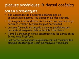 plaques oceàniques  dorsal oceànica
DORSALS OCEÀNIQUES
• Són esquerdes de l'escorça oceànica per on
  ascendeixen magmes i es disposen als dos costats.
• Els magmes en solidificar-se formen una nova escorça
  oceànica i també formen llargues serralades.
• La seva formació es deguda a forces produïdes per
  corrents divergents dels materials litosfèrics.
• També s’anomenen vores constructives les zones on es
  forma nova litosfera.
• Les dorsals oceàniques expliquen com es trenquen les
  plaques litosfèriques i com es renova el fons marí.
 