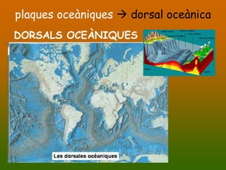 plaques oceàniques  dorsal oceànica
DORSALS OCEÀNIQUES
 
