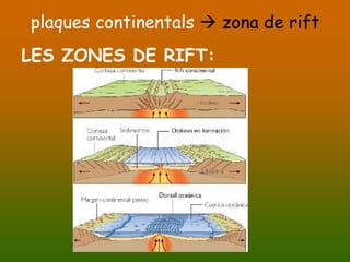 plaques continentals  zona de rift
LES ZONES DE RIFT:
 