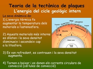 Teoria de la tectònica de plaques
       L’energia del cicle geològic intern
La seva dinàmica és:
1) L’energia tèrmica fa
augmentar la temperatura dels
materials a l’astenosfera.                     2
                                       3
2) Aquests materials més interns           4   1
es dilaten i la seva densitat
disminueix i ascendeix cap
a la litosfera.

3) Es van refredant, es contrauen i la seva densitat
    augmenta.

4) Tornen a baixar i es donen els corrents circulars de
    convecció (cèl·lules de convecció)
 