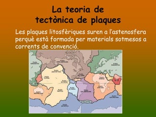 La teoria de
       tectònica de plaques
Les plaques litosfèriques suren a l’astenosfera
perquè està formada per materials sotmesos a
corrents de convenció.
 