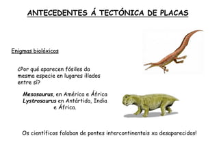 ¿Por qué aparecen fósiles da
mesma especie en lugares illados
entre sí?
Enigmas biolóxicos
Mesosaurus, en América e África
Lystrosaurus en Antártida, India
e África.
Os científicos falaban de pontes intercontinentais xa desaparecidos!
ANTECEDENTES Á TECTÓNICA DE PLACAS
 