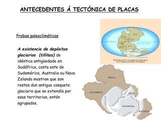 Probas paleoclimáticas
A existencia de depósitos
glaciarios (tillitas) de
idéntica antigüedade en
Sudáfrica, costa este de
Sudamérica, Australia ou Nova
Zelanda mostran que son
restos dun antiguo casquete
glaciario que se extendía por
esos territorios, entón
agrupados.
ANTECEDENTES Á TECTÓNICA DE PLACAS
 